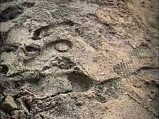 Public beach blowjob from mexican brunette babe to muscular guy with monster cock