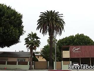 classy les mature grinding pussy with babe in this full movie... ohh, i mean scissoring and sucking taboo fantasy