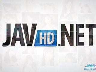 japanese pussies compilation for connoisseurs