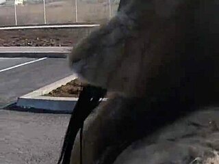 Let's go shopping together and I'll be so grateful to you in the end.