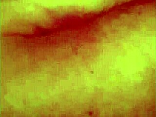 I'm a bbw grandma visiting from England, bending over in doggystyle with my big ass and huge tits