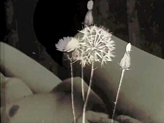 I confess the erotic sins of our ancestors in vintage hairy pussy fucking from my secret life