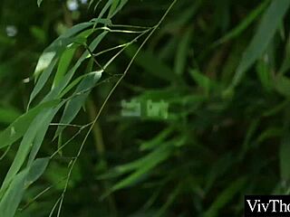 Hey, these sexy girlfriends are making up with some passionate kisses and tender touches