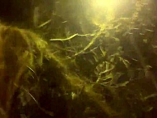 Burping loudly in public spaces without any hesitation or embarrassment