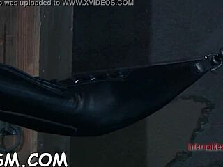 I feel excited about the game where I compete to please the babe's sensitive area