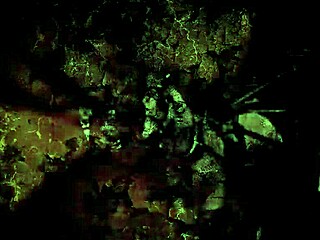 Vintage Halloween Footage Features Bold Antique Retro Scenes