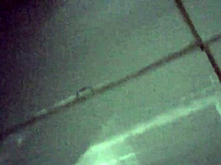 Hey, check this vietnamese guy on hidden cam in toilet action from the trailer.