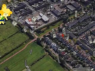 Office Lady Working Professionally