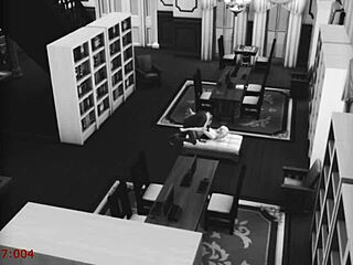 Why would a bookworm wife cheat by fucking a stranger at the library on security cam?