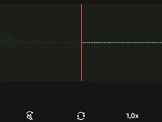 incredible neighbor audio recording part one