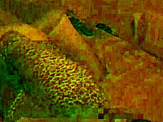 Single Guy Spreads My Legs And Pounds Latina Wife At Holiday Party