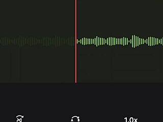 incredible neighbor audio recording part one