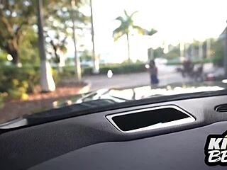 Escalade Escapade Adventure