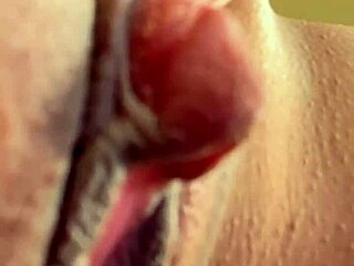 why does this brazilian 18+ scream my name rosa vermelha during pussy licking?