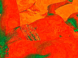 Mondo porno vintage con trio interrazziale e anal