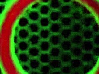 Worship Her Tits Julia Ann Applies Lotion To Tease Her Tits?