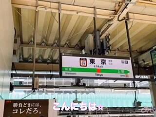 Tochigi Strawberries and Hot Springs in Nacchi Trip