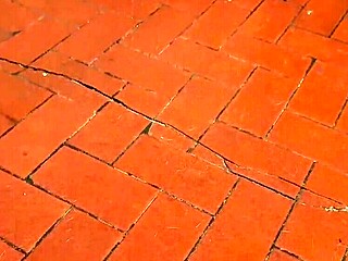 my wife's lesbian friend washing dishes in skirt at home. i pulled it aside excitedly