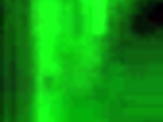 hey i met this cute friend in the jungle and we hung out in the forest