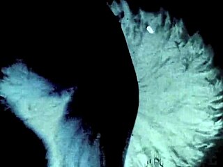 Dark Lantern Entertainment presents a vintage showcase of women with animals.