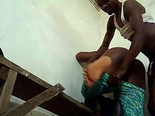 Beautiful Curvy Plantain Hawker Flashes Outdoors