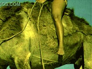 Dark Lantern Entertainment presents a vintage showcase of women with animals.