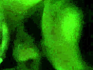 she learned deepthroat techniques from a big black cock instructor