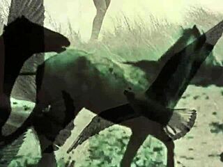 Dark Lantern Entertainment представя винтаж шоу с жени и животни.