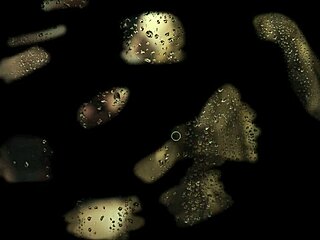 Forbidden Love - Son in Law Episode 02 Audio Story