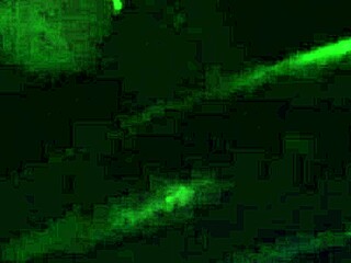 Artemisia Love izgi éjszakai autókázás nagy melleit villantva mellbimbóival játszva