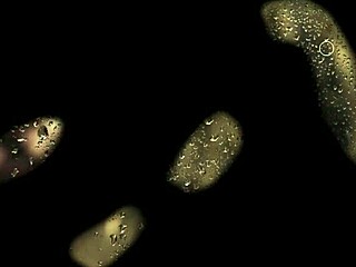 Forbidden Love - Son in Law Episode 02 Audio Story