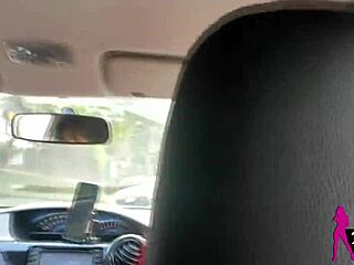 Ich zeig Arsch auf Straße, Liefertyp bläst mich im Auto