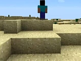 uh, these are like the weirdest and worst minecraft versions you might not even know about...