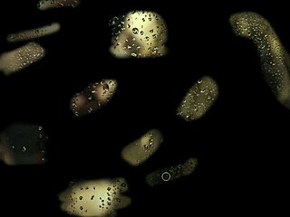 Forbidden Love - Son in Law Episode 02 Audio Story