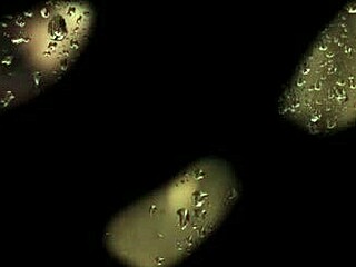 Forbidden Love - Son in Law Episode 02 Audio Story