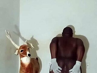 Spread Ass Bent Over in Group Masturbation Show!