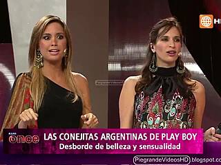 Argentinian bunnies hopping wild in Peru's hidden spots