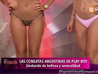 Argentinian bunnies hopping wild in Peru's hidden spots