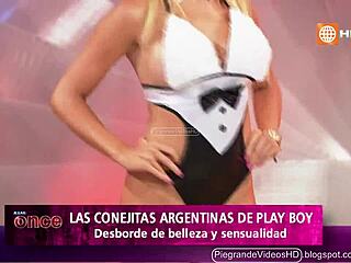 Argentinian bunnies hopping wild in Peru's hidden spots