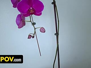 freeuse slimthick maid vic's big tits bounce as she sucks my monster cock anytime