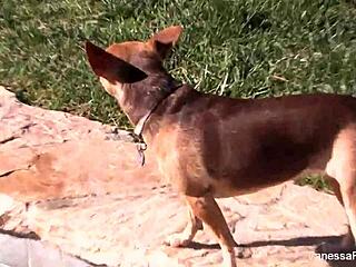 Vanessa Cage backstage teen pussy ass tits reveal