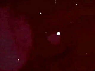 i can't get enough of vintage erotic drawings