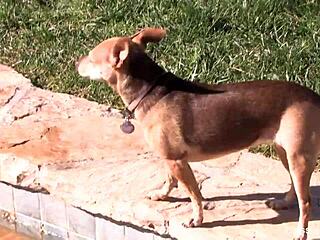 Vanessa Cage backstage teen pussy ass tits reveal