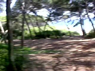 Shana Spirit Hardcore Pounding