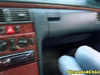 hitchhiking teen brunette flashes tits to stranger outdoors pov