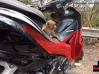 Wow Amateur Asian Teen Rides Huge European Dick Post-Date