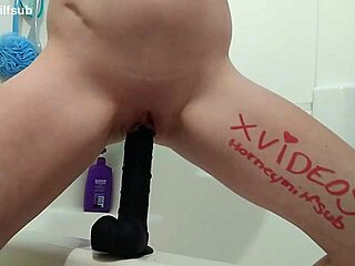 Slut Verification Teases What's Next?