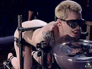 Blonde Slave Bound in Doggy Gets Caned and Choked Hard