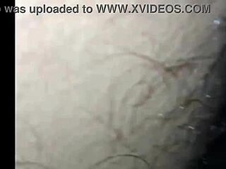 brazilian ebony puta cooks ass for two at swing orgy