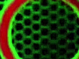 Penny Pax redhead cowgirl fun